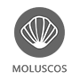 moluscos